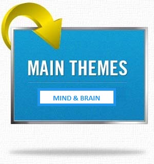 Main themes